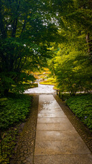 Augsburg, Germany - 08 04 2025 : Japanese Garden in the 'Botanischer Garten' in Augsburg