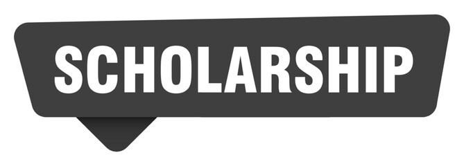 scholarship black sign isolated on transpatent background. scholarship sticker