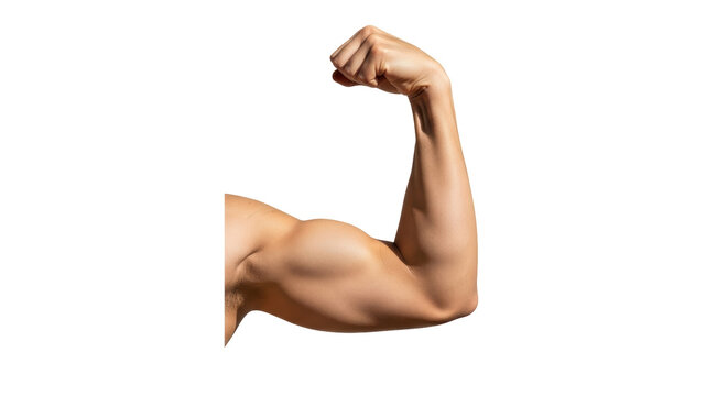 Isolated flexing muscular arm with contracted biceps on a neutral background showcasing power