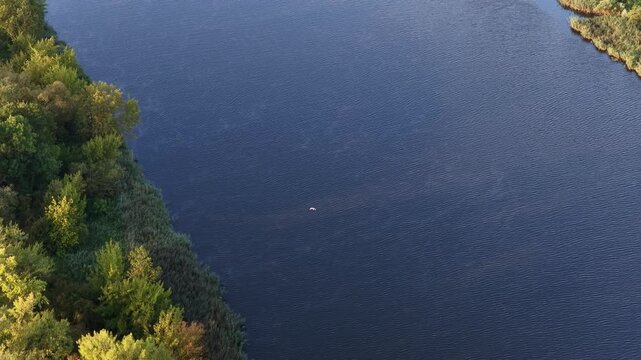 Drone view of a bird flying over river with wooded banks at Lower Oder Valley National Park