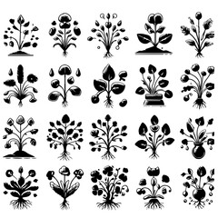 Collection of stylized botanical illustrations featuring various plants with roots and leaves art design