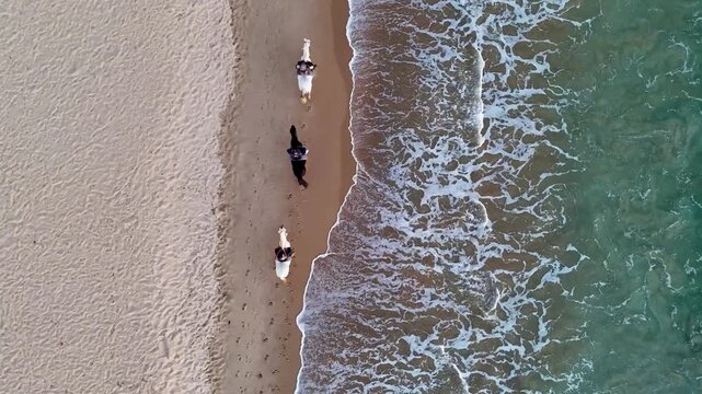 Aerial top-down view of three people on horseback ride along a sandy beach in Spain