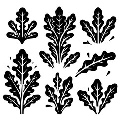 Illustration of several stylized arugula plants with detailed leaf venation in a black and white design