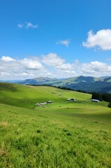 Fototapeta premium A Serene Landscape with Rolling Green Hills and Country Homes