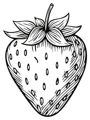 Hand drawn strawberry fruit illustration in a vintage woodcut engraving style