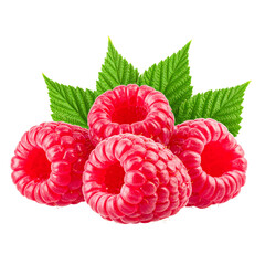  raspberries with leaves isolated on white or transparent png