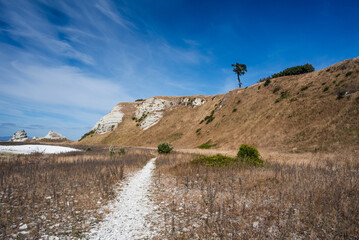 White Gravel Trail Winding Through Dry Coastal Terrain Toward Cliffs at on Kaikoura Peninsula, New Zealand