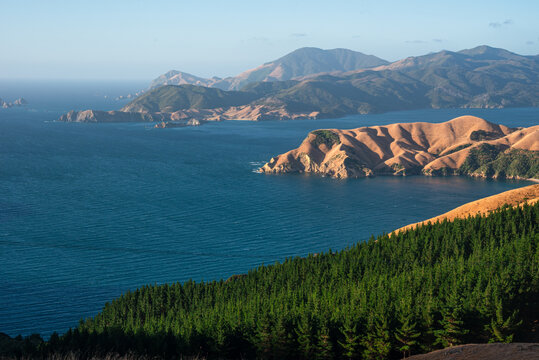 Rugged Peninsula and Forested Slopes Overlooking d&acirc;&euro;&trade;Urville Island and Outer Marlborough Sounds from French Pass Ridge, New Zealand