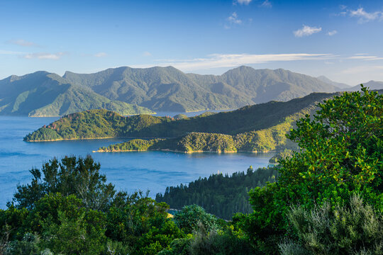 Forested Peninsula and Island Fragments Surrounded by Calm Blue Waters in Outer Queen Charlotte Sound Near French Pass, Marlborough Sounds, New Zealand