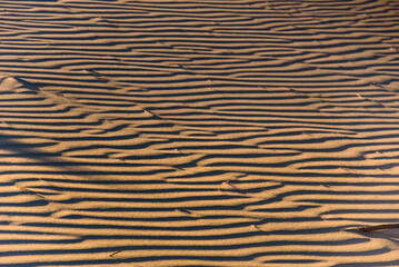 Close-Up of Parallel Wind Ripples in Dry Coastal Sand Dune at Sunset, New Zealand