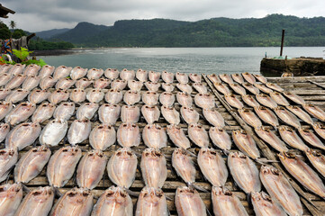 Fish drying, Porto Alegre village in the south of Sao Tome Island, Republic of Sao Tome and Principe, Africa