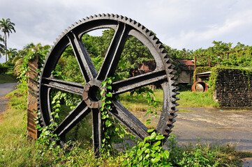 Former sugar factory of County overtaken by vegetation, Sainte-Rose, Basse-Terre, Guadeloupe