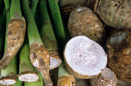Taro corms (Colocasia esculenta) for sale at a market, Reunion