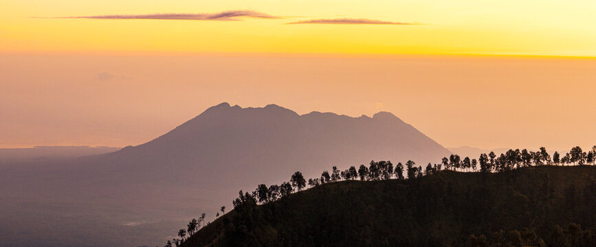 Foggy sunrise over silhouettes of trees on top of a mountain with volcano on background, Banyuwangi, East Java, Indonesia