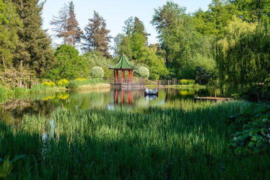 Lake and pavilion in the exotic Himalayan Gardens and Sculpture Park, Yorkshire, United Kingdom