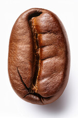 A single coffee bean with glossy surface and groove, promoting food education and cultural appreciation in youth-friendly visuals.
