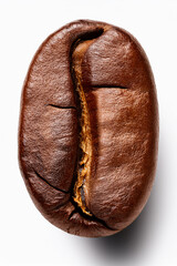 A magnified coffee bean with natural shine and groove, used to teach food science and promote sustainable agriculture awareness.
