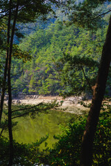 深山公園、自然豊かな日本の山の風景、岡山、日本