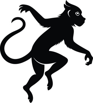 --capuchin-monkey---animal-in-jumping---black-colo (3).eps