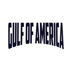 Gulf Of USA America Funny USA Flag for men women T-Shirt