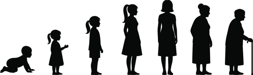 Silhouette Illustration of Woman Life Stages Female Aging Process & Human Development Concept Vector