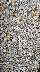 White stone garden background with leaves