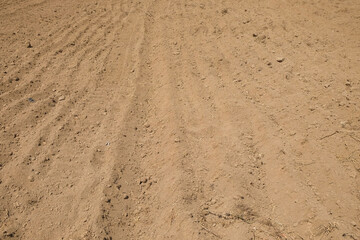 Agricultural land that looks dry during the dry season. Land preparation for agriculture