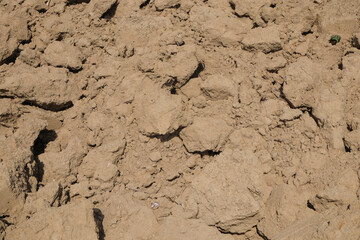 Agricultural land that looks dry during the dry season. Land preparation for agriculture