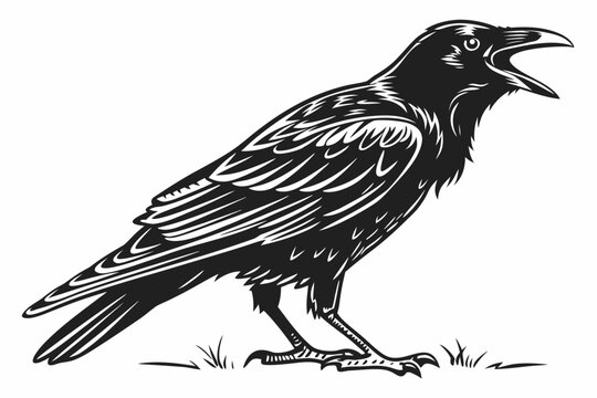 Black Raven Bird Silhouette with Open Beak.
