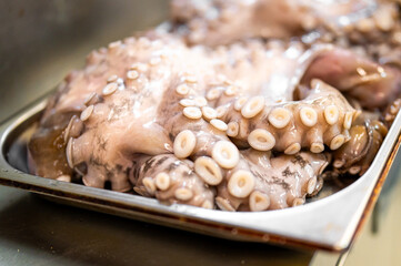 Raw octopus tentacles with visible suction cups in a metal tray, fresh and uncooked, ideal for seafood preparation, culinary use, or commercial kitchen context