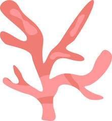 Cute Coral