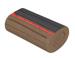 3D Illustration of Myelinated Nerve Fiber Cross-Section Showing Axon and Myelin Sheath