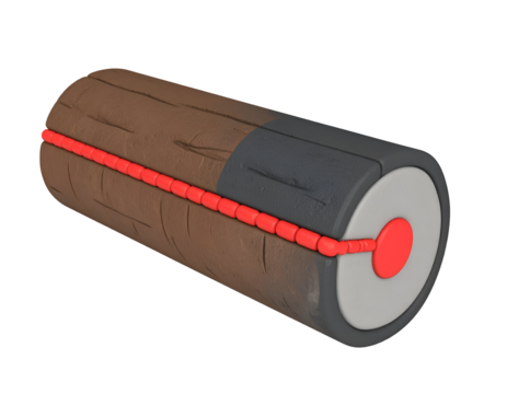 3D Diagram of a Composite Cylindrical Structure with Segmented Red Connecting Channel
