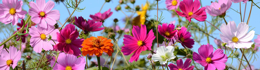 Garten 1525 © K.-U. Häßler