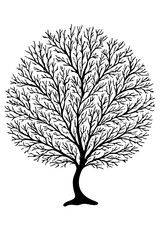 Obraz premium Delicate Coral Reef Vector Artwork with Detailed Black Sea Fan Structure for Coastal Style Wall Art and Underwater Botanical Design