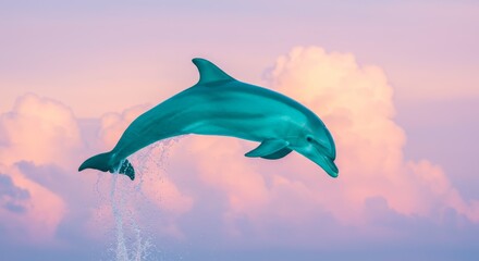 Dolphin's Aerial Grace: A vibrant dolphin leaps gracefully through the air against a canvas of pastel clouds, symbolizing freedom and serenity.