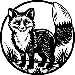 Obraz premium black cat on white background