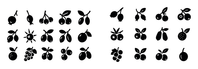 Obraz premium Twelve Wild Fruits Icons