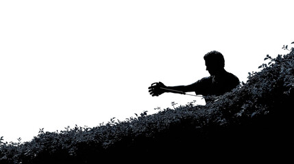 Man trimming hedge garden silhouette PNG, cut out, isolated on transparent background