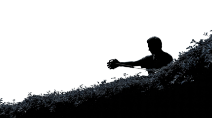 Man trimming hedge garden silhouette PNG, cut out, isolated on transparent background