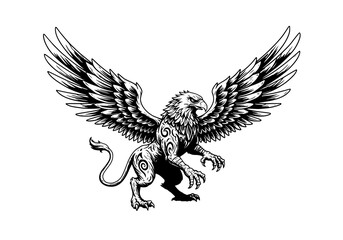 Obraz premium Griffin Illustration