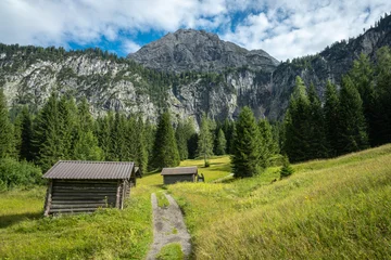 Weg über Wiese in Tirol bei Ehrwald mit Hütten und Bäume © Leinemeister