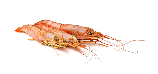 shrimps