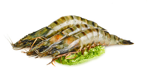 shrimps