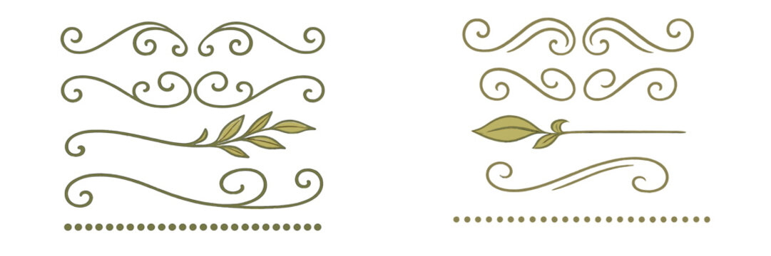 Elegant decorative dividers with flourishes, swirls, and natural leaf elements for design projects and text separation