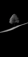 Solitary tree on a sloped hill against a dark contrasting background