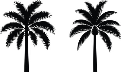Silhouette of Palm Trees, Tropical Black Palm Vector, Island Plant Illustration, Nature and Exotic Tree Design