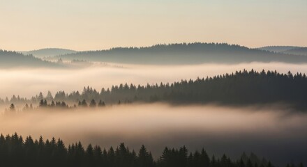 Mountainous landscape with fog rolling over dense forest during early morning hours