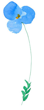Blue flower illustration
