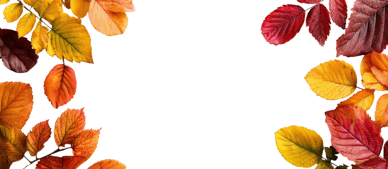 Autumn leaves frame on transparent background